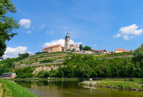 melnik